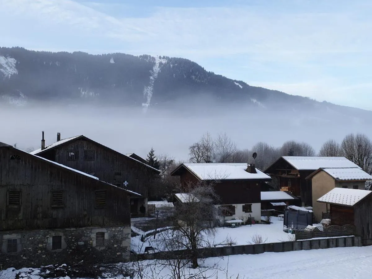 Studio Lumineux Avec Balcon, Parking, Wifi Et Animaux Acceptes A Samoens - Fr-1-629-120 Apartment